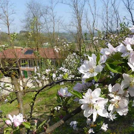 Il Vecchio Pero Отель типа 