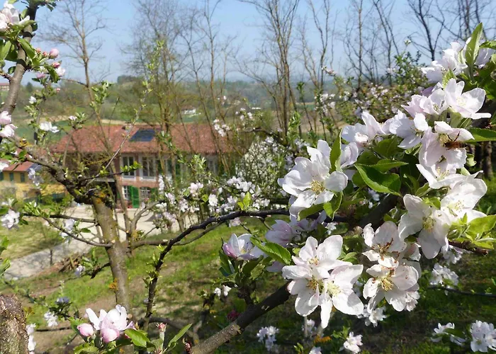 Il Vecchio Pero Bed & Breakfast *